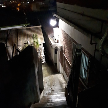 190606_밤의 계단 밑_유시연.jpg