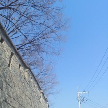 190308_파란 하늘과 성곽_김예은.jpg