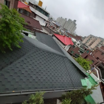 지붕1-2.jpg