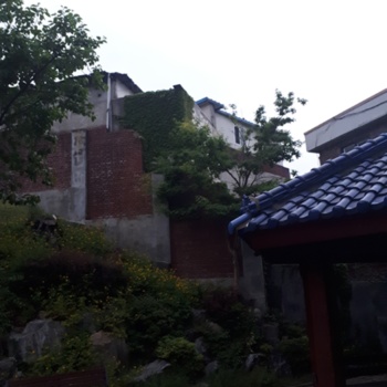 190513_담벼락 지붕_유시연.jpg