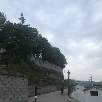 190513_푸른 나무와 성곽마을_김효진.jpg